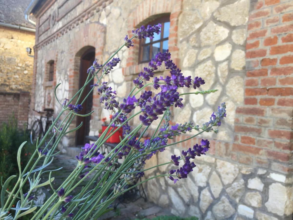 Levendula Porta Es Pajtaszinhaz 호텔 Orfű 외부 사진
